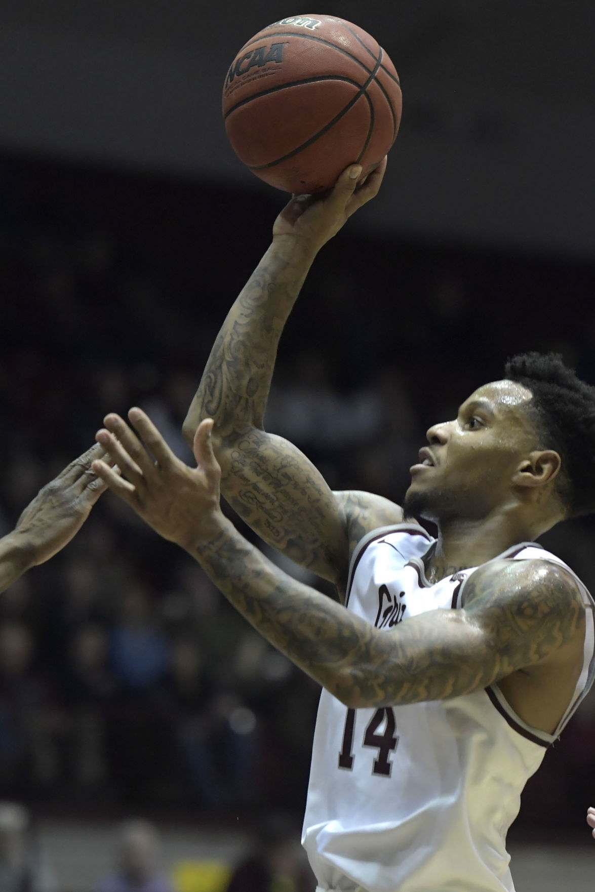 Griz vs Idaho State-9-tm.jpg